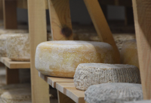 МОНГОЛД ҮЙЛДВЭРЛЭСЭН БЯСЛАГ ДЭЛХИЙН ЗАХ ЗЭЭЛД ГАРАХАД БЭЛЭН БОЛЛОО …